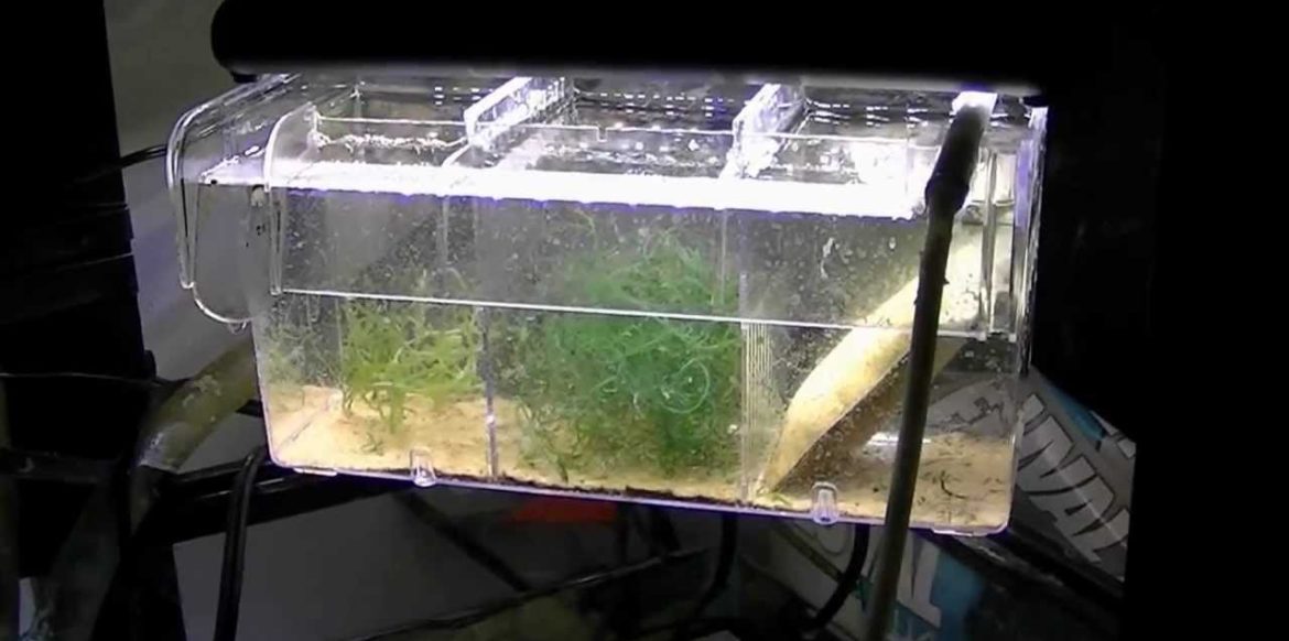  aquarium light 